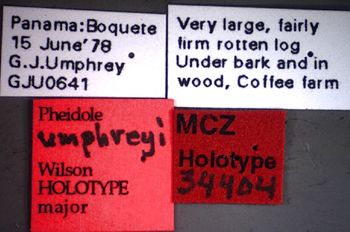 Media type: image;   Entomology 34404 Aspect: labels